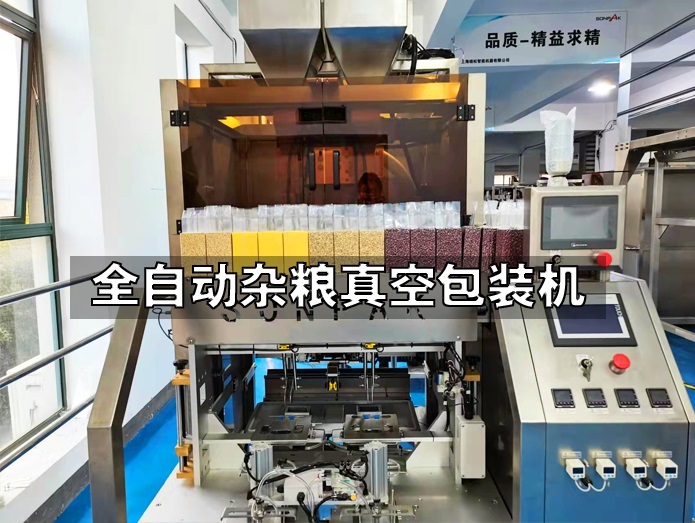 雁江全自动杂粮真空包装 粮砖自动包装机